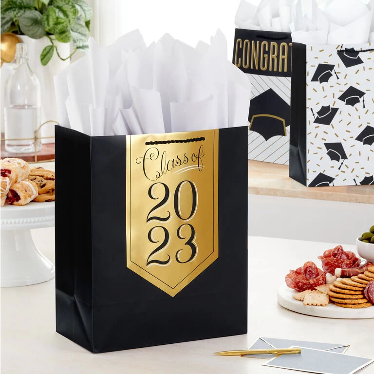 Hallmark 13" Assorted Grad Designs 3-Pack Large Gift Bags With Tissue Paper - Image 2