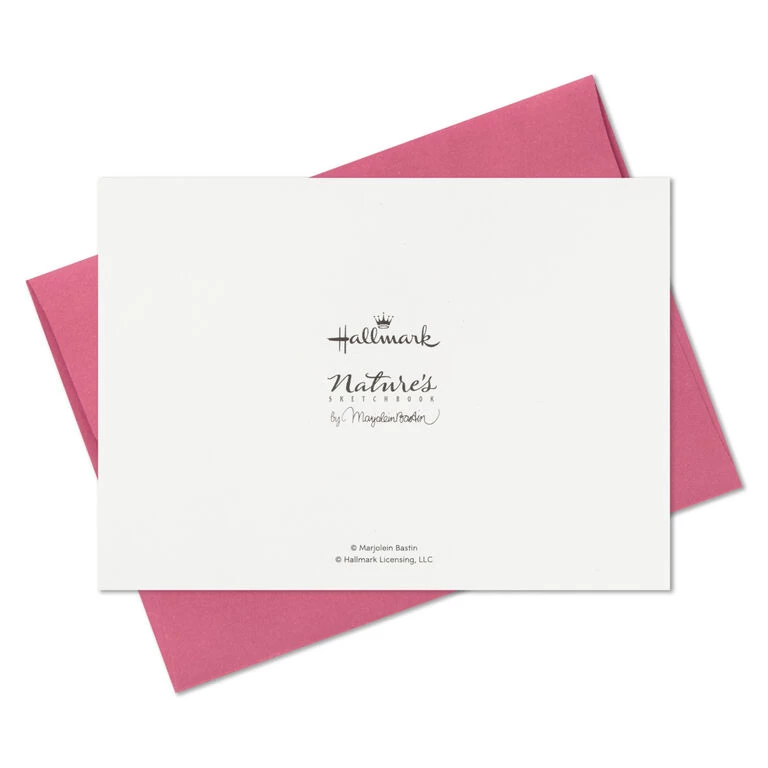 Hallmark Marjolein Bastin Assorted Blank Nature Note Cards In Caddy, Pack Of 24 - Image 9