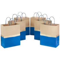 Hallmark 13" Blue And Kraft Paper 6-Pack Gift Bag