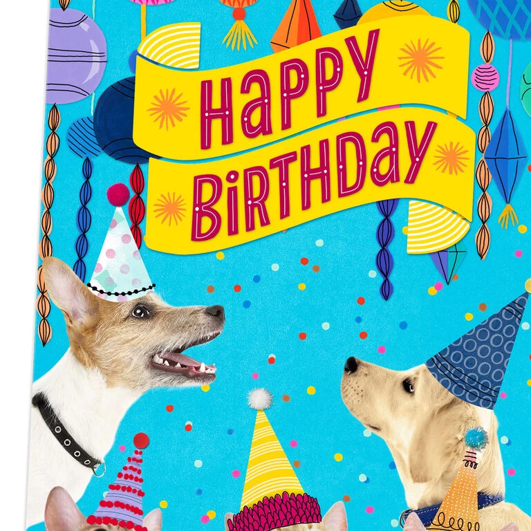 Hallmark 16" Party Cats And Dogs Jumbo Birthday Card From All - Image 4